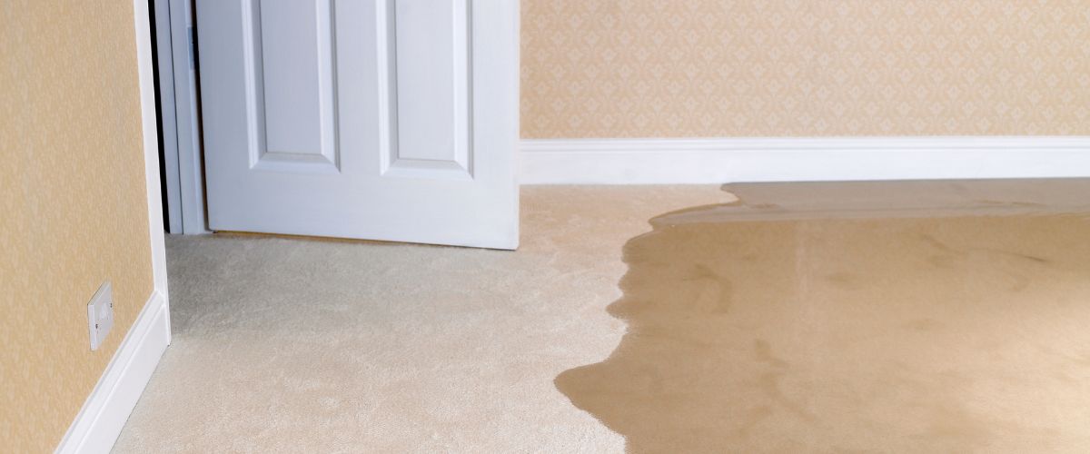 How to dry your wet carpet after water damage using a dehumidifier